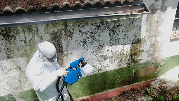 Top rated local Mold Inspection And Testing specialists in Fort George G Meade, MD